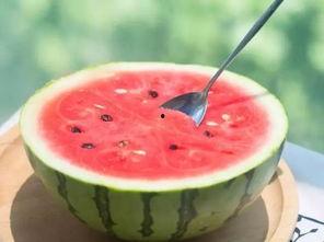 娱乐吃瓜固定模版如何做,揭秘明星幕后故事，带你领略明星们的真实生活